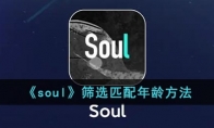 《soul》筛选匹配年龄方法