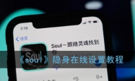 《soul》隐身在线设置教程