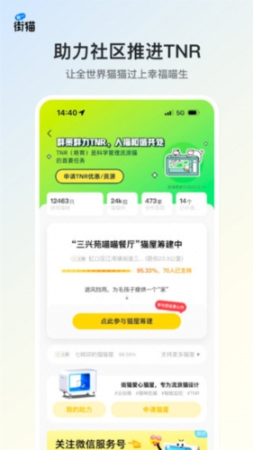 哈啰街猫最新版下载官方正版
