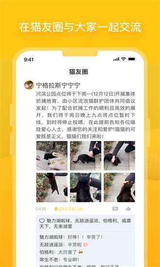 哈啰街猫安卓版国际版下载官网