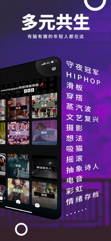 岛下载安装正版