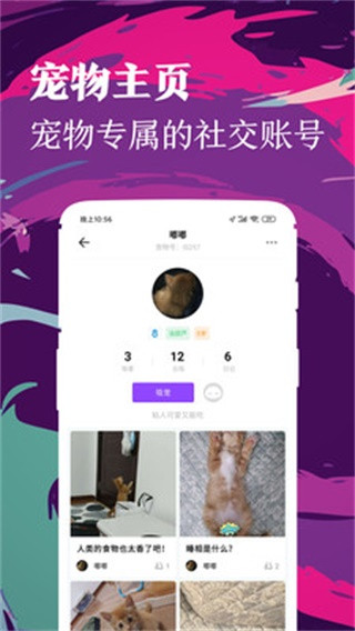 铲屎官下载安卓版