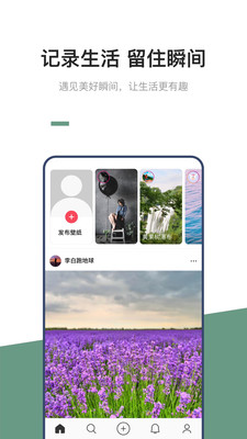 交友网页版登录入口