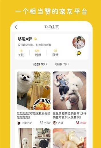 爱它乐app下载安装正版