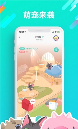 宠遇官网首页登录入口手机版