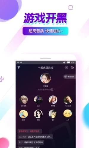 软语音ios安装包官网